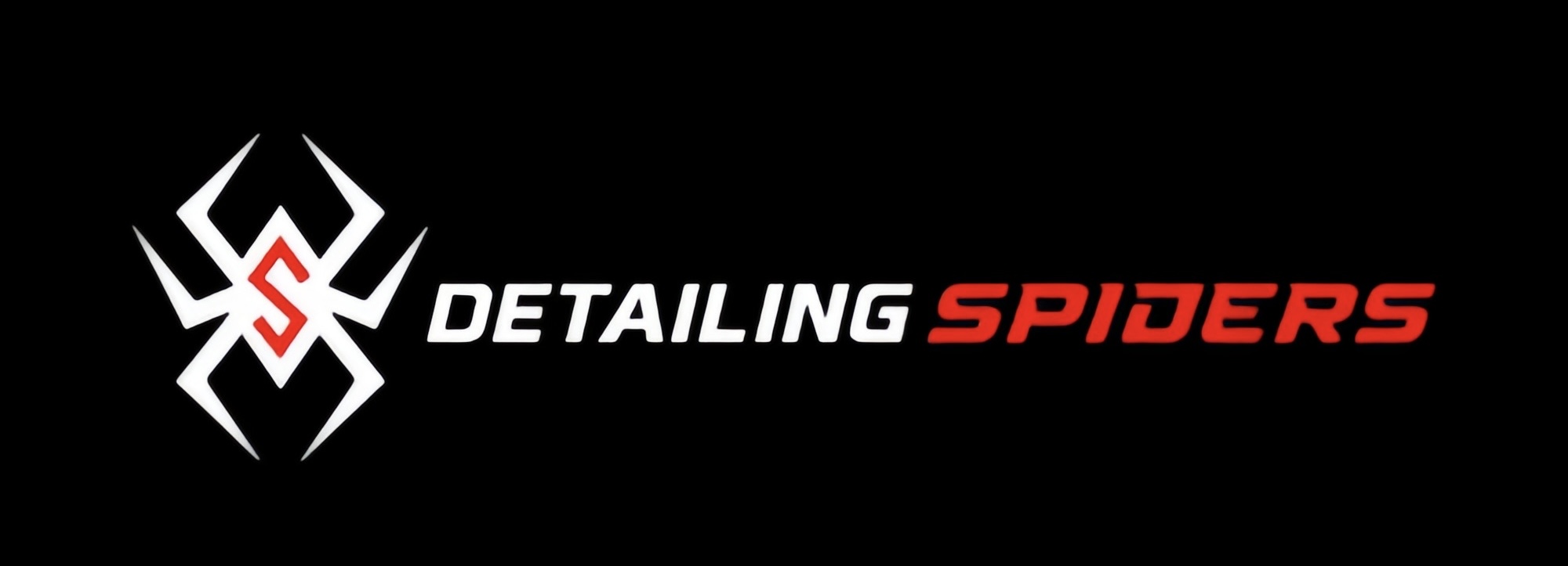 detailing spiders